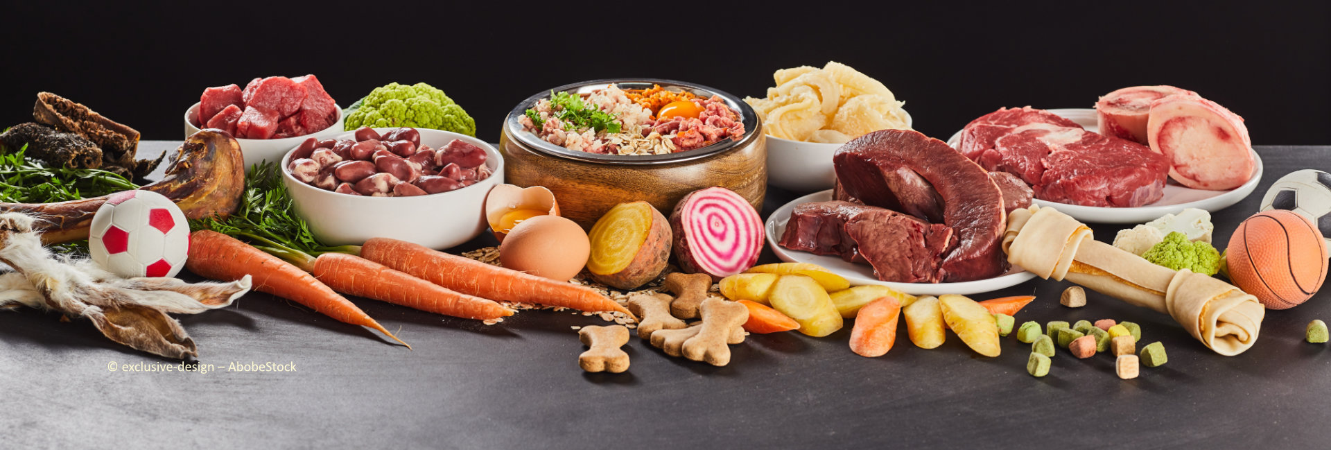 Hundeernährung