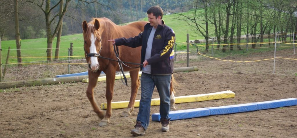 ich bei der Equikinetic mit meinem Pferd Bonni