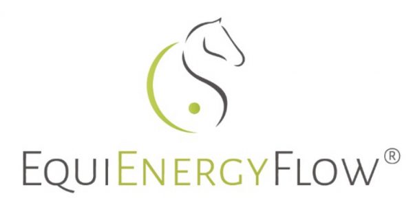 Titelbild von EquiEnergyFlow