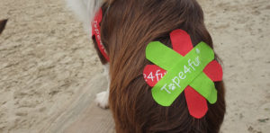 Titelbild des Hundtapingkurses