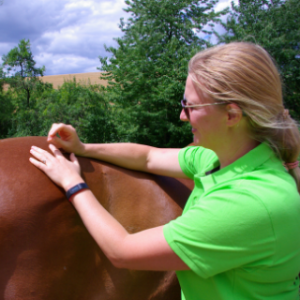 Dry Needling für Pferde
