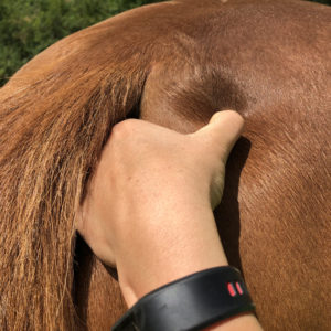 zeigt einen Griff bei der Triggerpunkt Massage