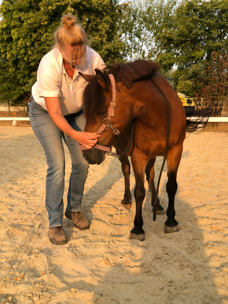 Jeanette bei der Behandlung eine Pony