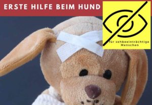 Teddybär mit Pflaster auf der Stirn und Hinweis für Sehbeinträchtigte Menschen