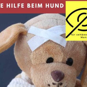 Teddybär mit Pflaster auf der Stirn und Hinweis für Sehbeinträchtigte Menschen