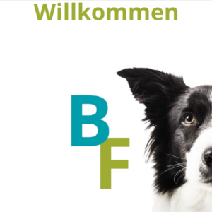 Logo Bewegungsformel