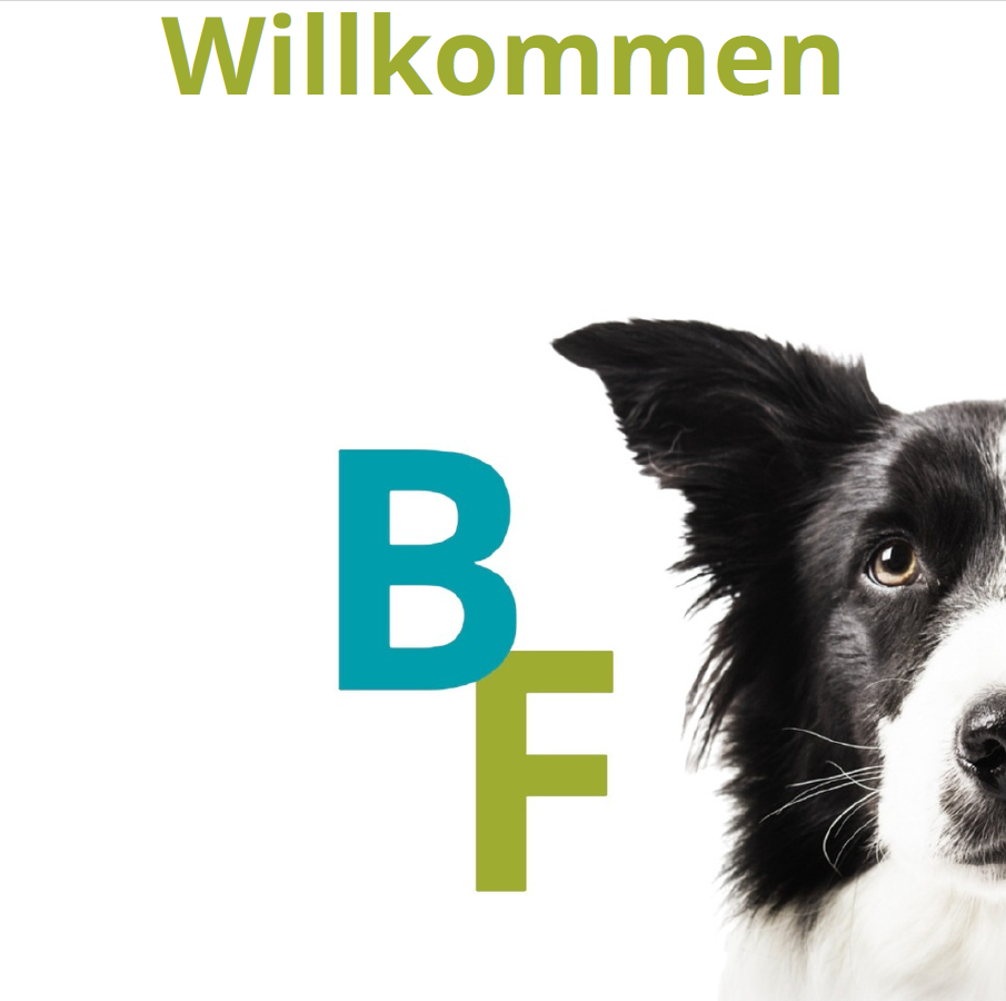 Logo Bewegungsformel