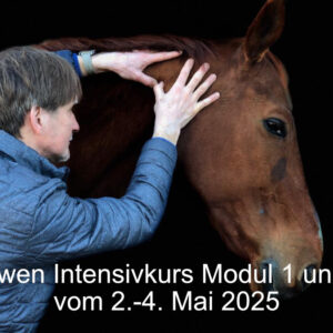 Titelbild der ISBT-Bowen Ausbildung mit Boris Kriegel. Es zeigt wie ein Move ausgeführt wird