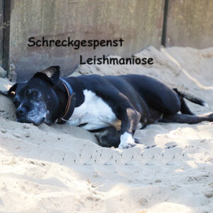 Leishmaniose